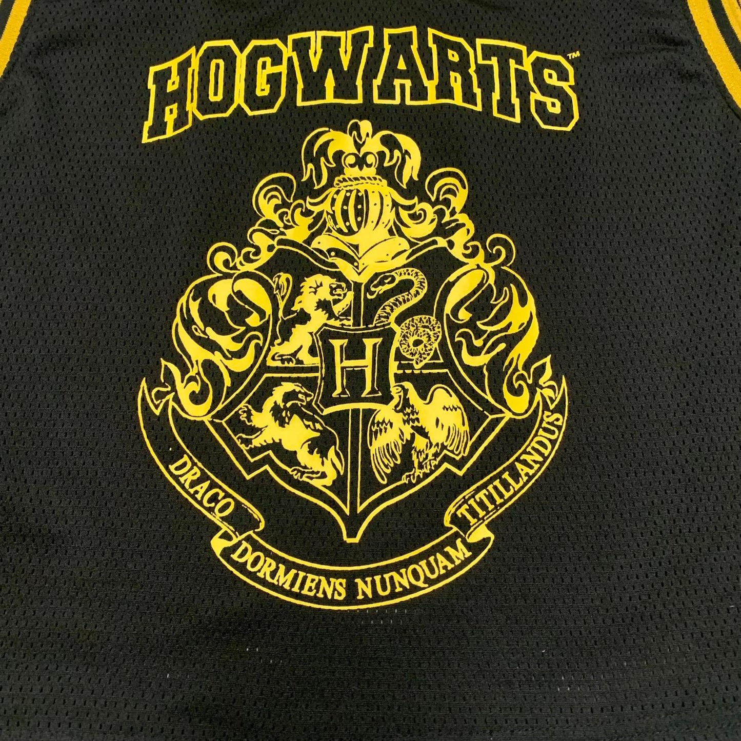 Harry Potter Kids Unisex Size L Black Yellow Hogwarts Crest Mesh Crop Top