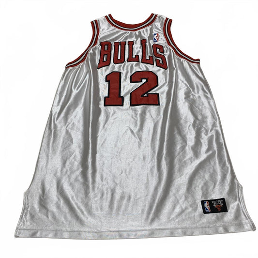 Chicago Bulls #12 Kirk Hinrich Basketball Jersey White Red No tags