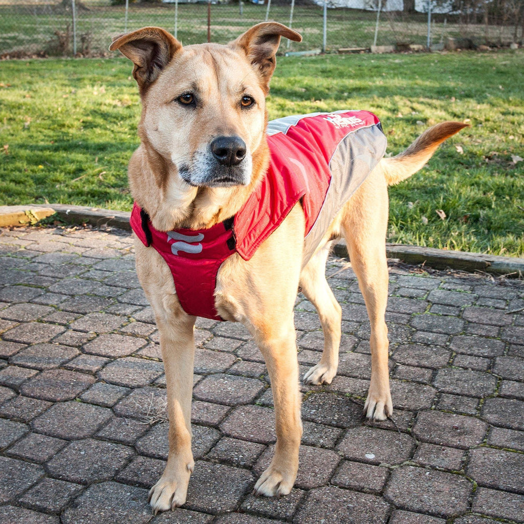 Dog Helios ® Altitude-Mountaineer Wrap-Hook-and-Loop Waterproof Dog Coat