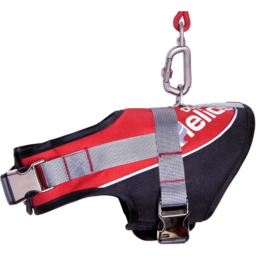 Dog Helios ® 'Bark-Mudder' 2-in-1 Reflective and Adjustable Sporty Dog Harness and Leash