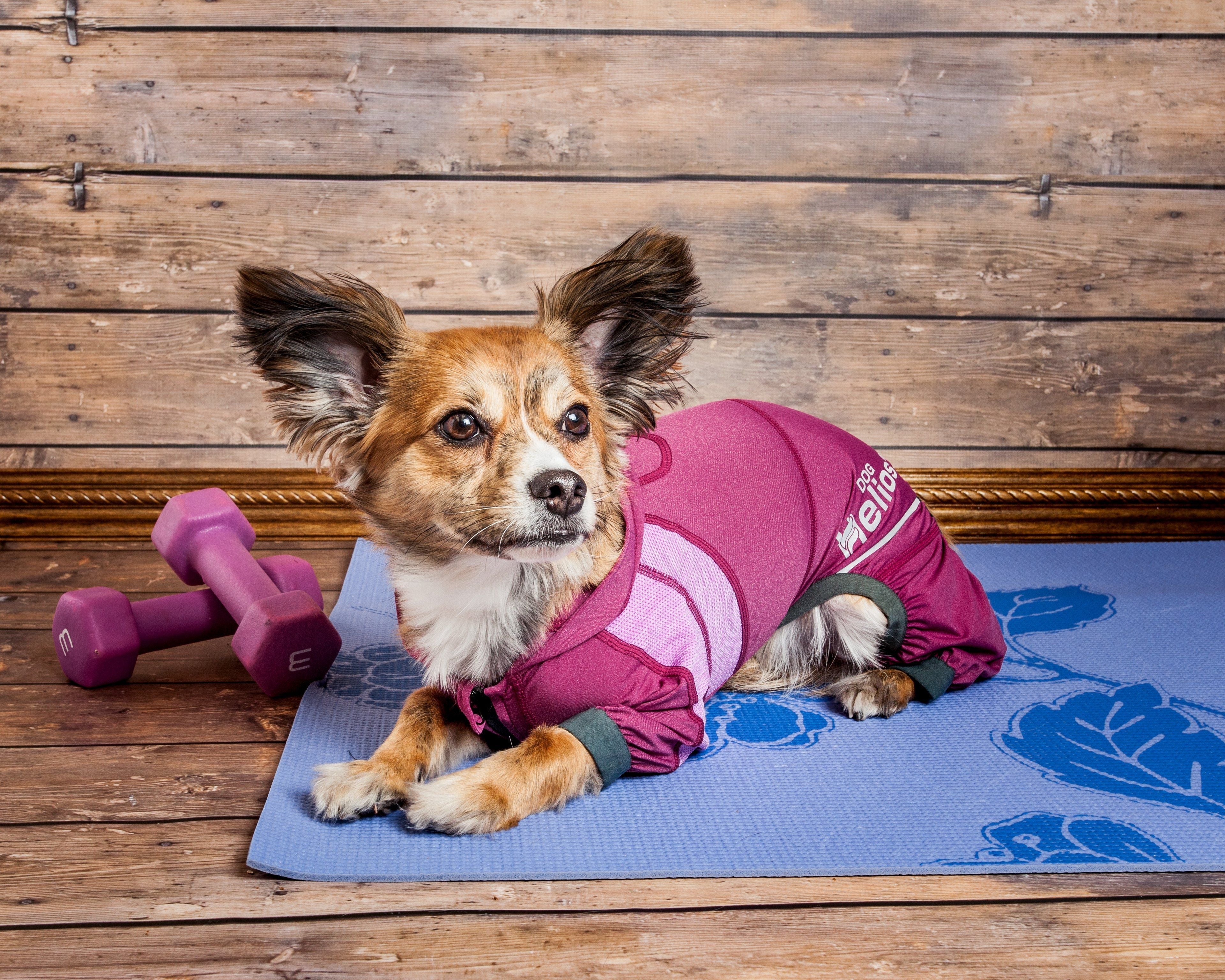 Sudadera con capucha ligera y elástica en 4 direcciones para yoga de Dog Helios® 'Namastail'