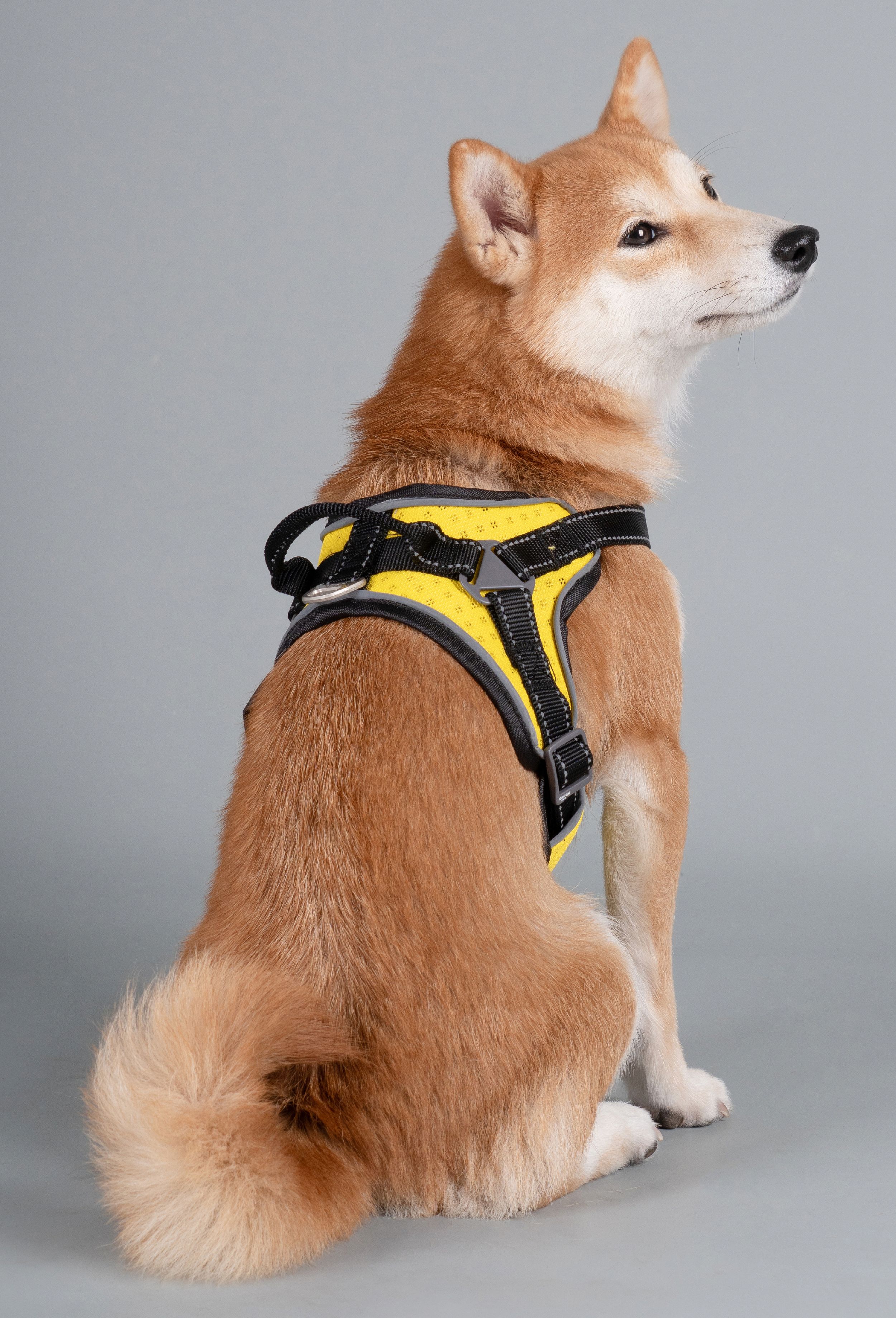 Dog Helios ® 'Scorpion' Sporty High-Performance Free-Range Dog Harness