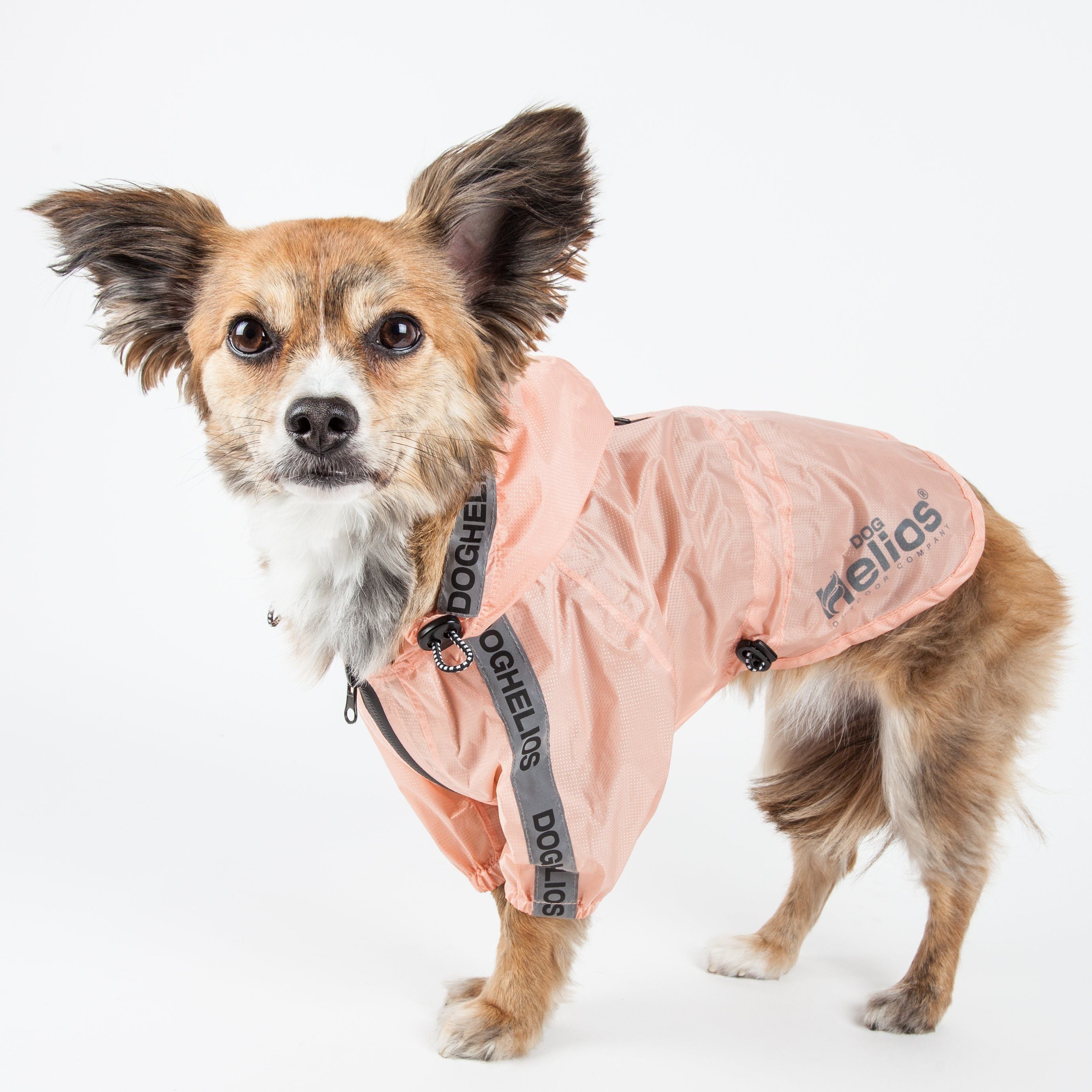 Poncho impermeable ajustable e impermeable para perros Dog Helios ® 'Torrential Shield'