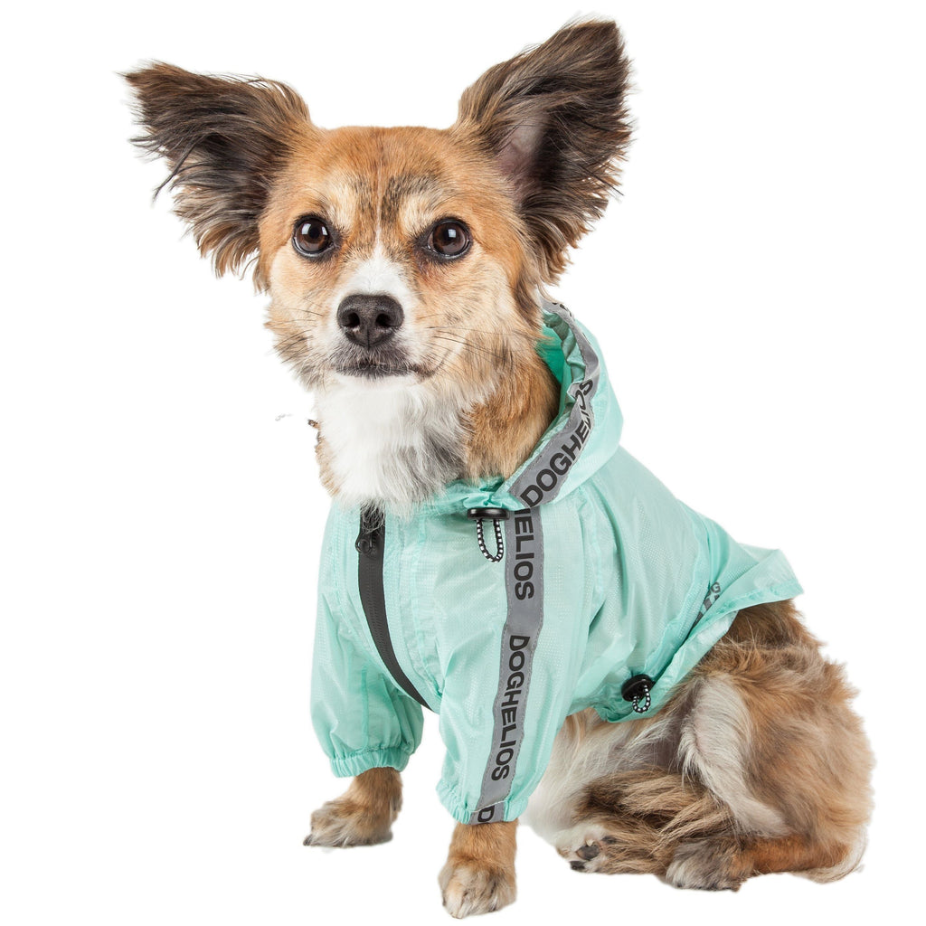 Poncho impermeable ajustable e impermeable para perros Dog Helios ® 'Torrential Shield'