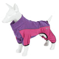 Chándal deportivo para perros Pet Life® Active 'Chase Pacer' de peso medio y elasticidad en 4 direcciones para yoga y fitness