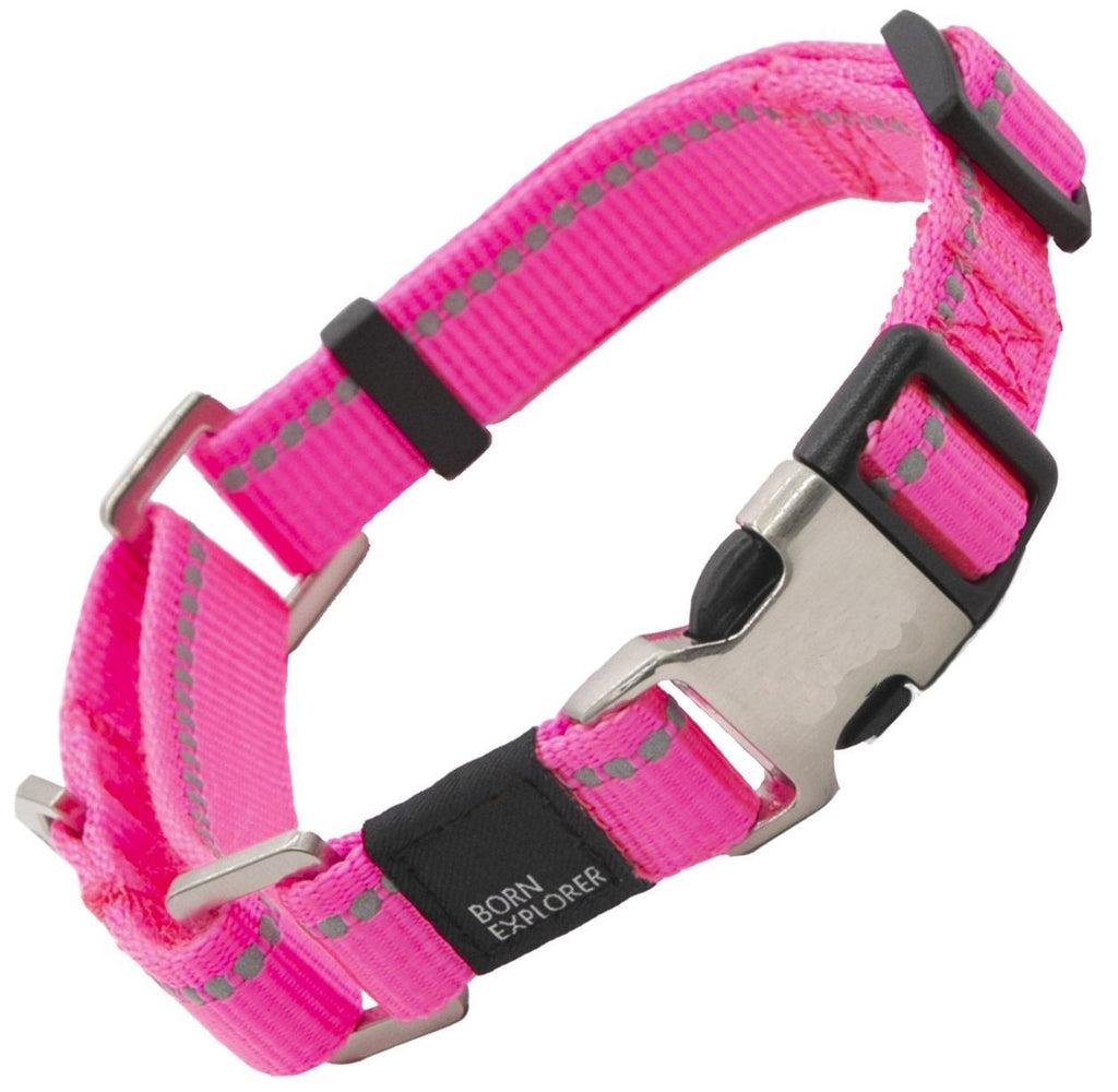Correa y collar de entrenamiento para perros 2 en 1 reflectantes 3M 'Advent' Outdoor Series de Pet Life®
