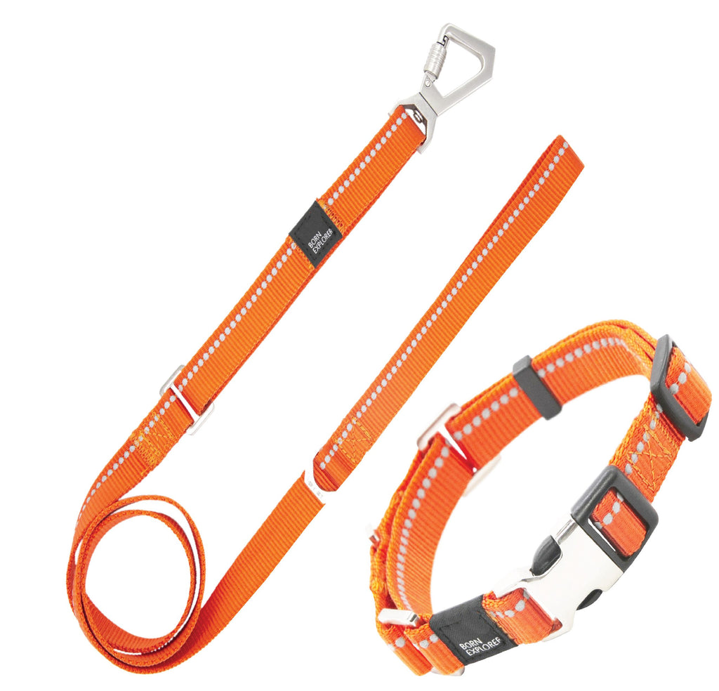 Correa y collar de entrenamiento para perros 2 en 1 reflectantes 3M 'Advent' Outdoor Series de Pet Life®