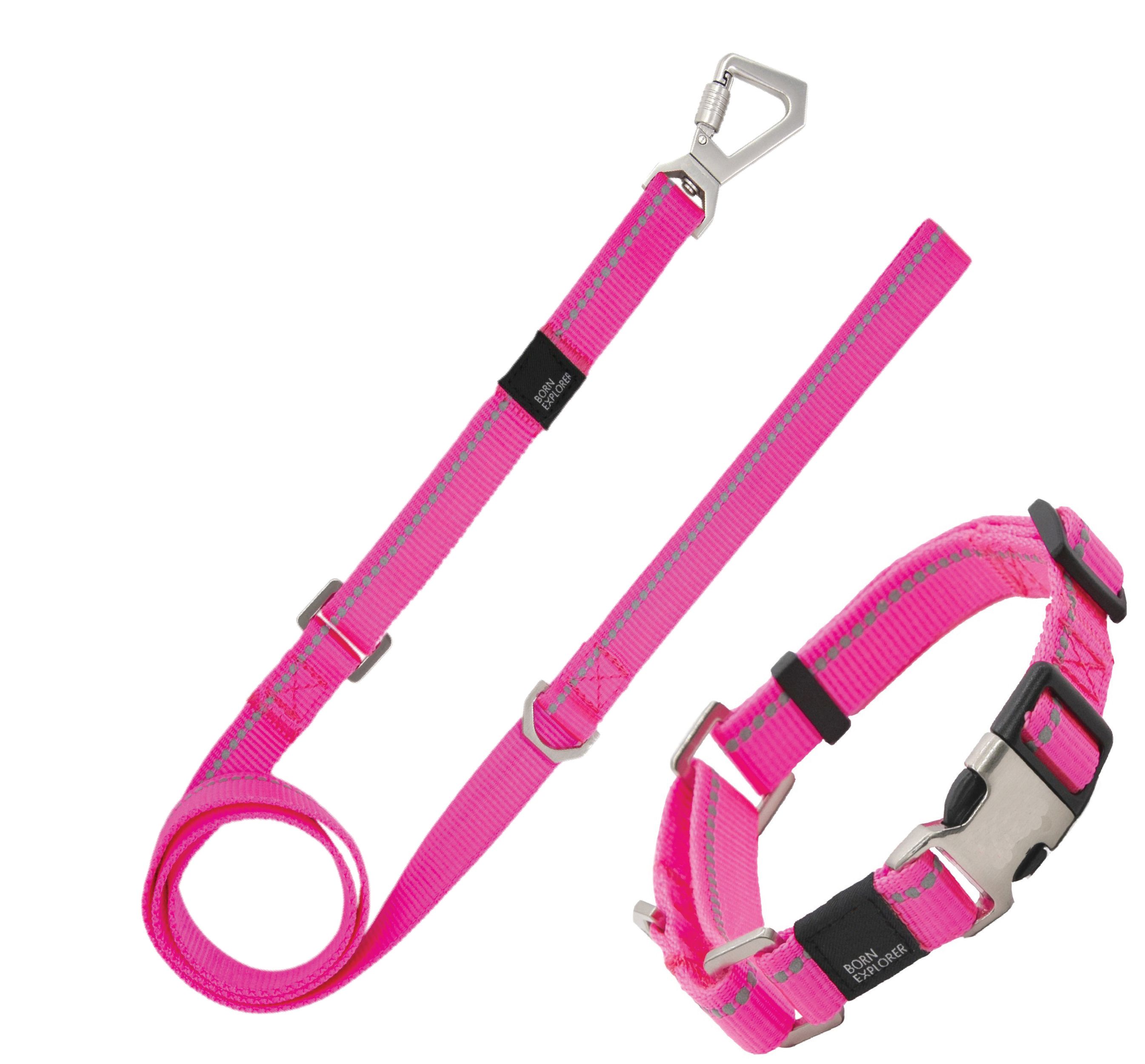 Correa y collar de entrenamiento para perros 2 en 1 reflectantes 3M 'Advent' Outdoor Series de Pet Life®