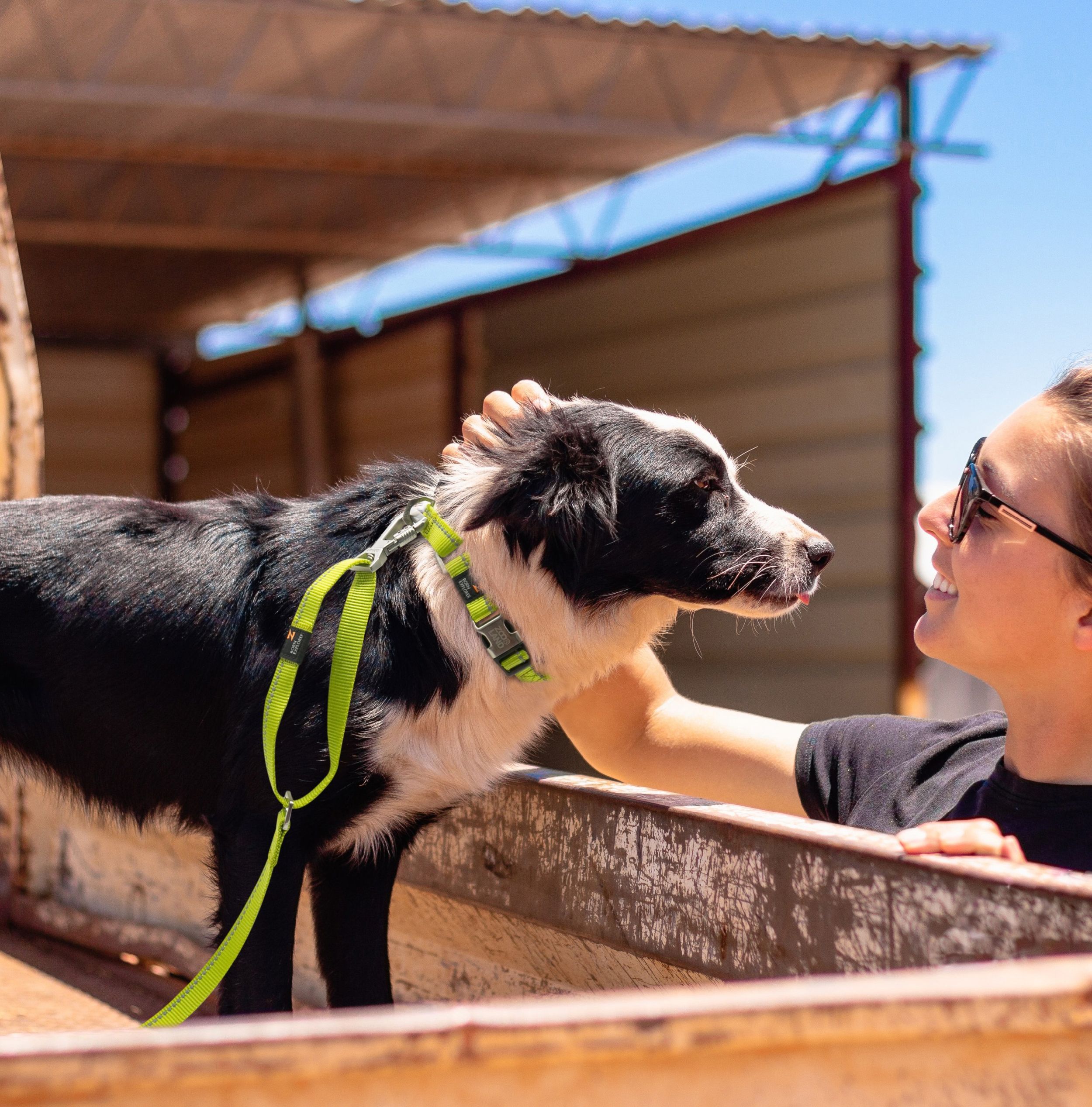Correa y collar de entrenamiento para perros 2 en 1 reflectantes 3M 'Advent' Outdoor Series de Pet Life®