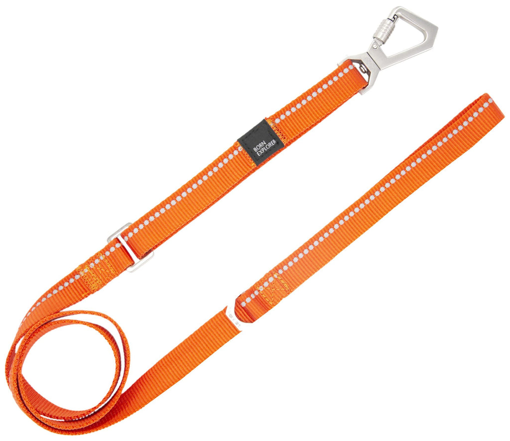 Correa y collar de entrenamiento para perros 2 en 1 reflectantes 3M 'Advent' Outdoor Series de Pet Life®