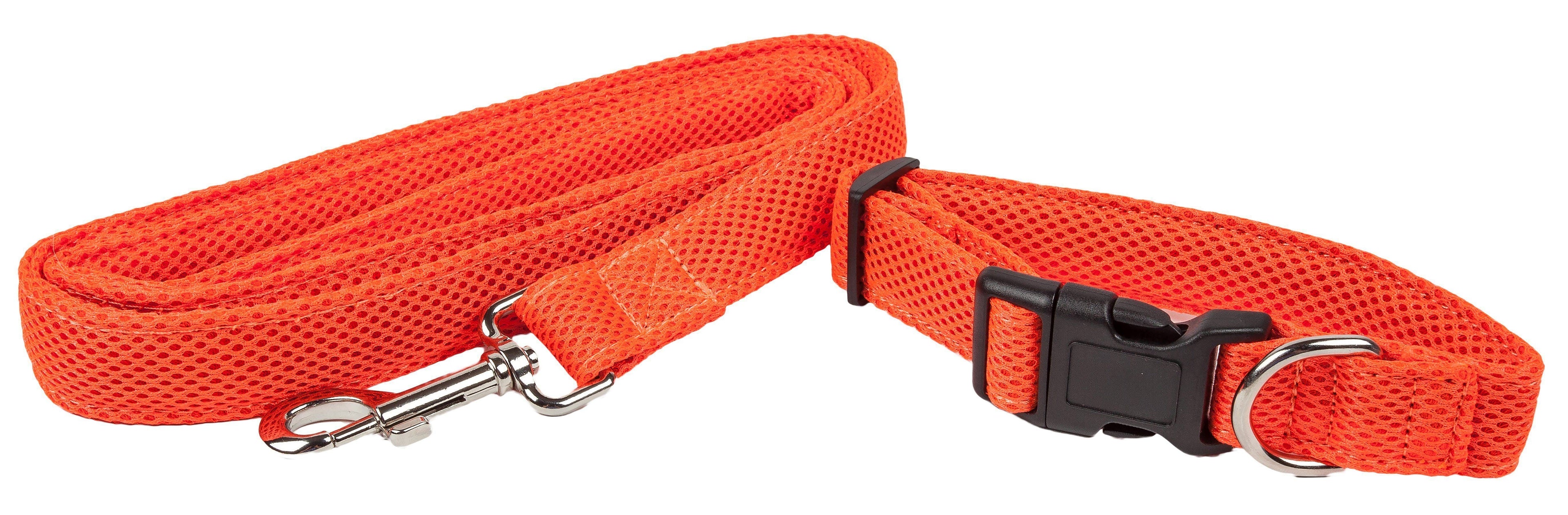 Correa y collar para perros 2 en 1 de malla transpirable y ajustable de doble cara 'Aero Mesh' de Pet Life ®