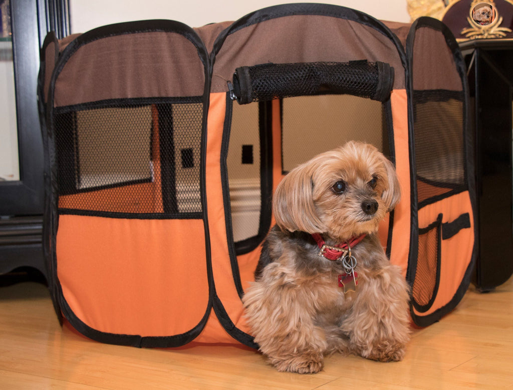 Jaula de juego para perros Pet Life ® 'All-Terrain', ligera, fácil de plegar, con estructura de alambre, plegable para viajes