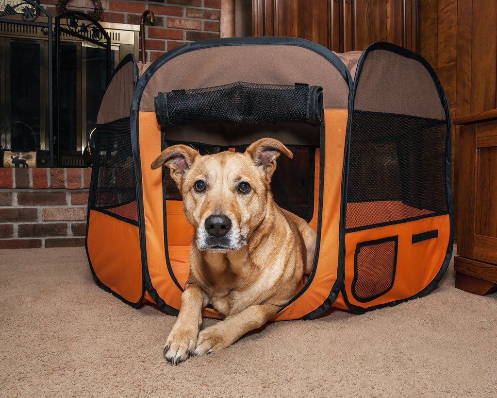 Jaula de juego para perros Pet Life ® 'All-Terrain', ligera, fácil de plegar, con estructura de alambre, plegable para viajes