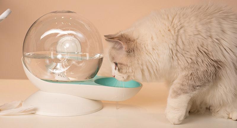 Pet Life ® 'Auto-Myst' Snail Shaped 2-in-1 Automated Gravity Pet Filtered Water Dispenser and Food Bowl