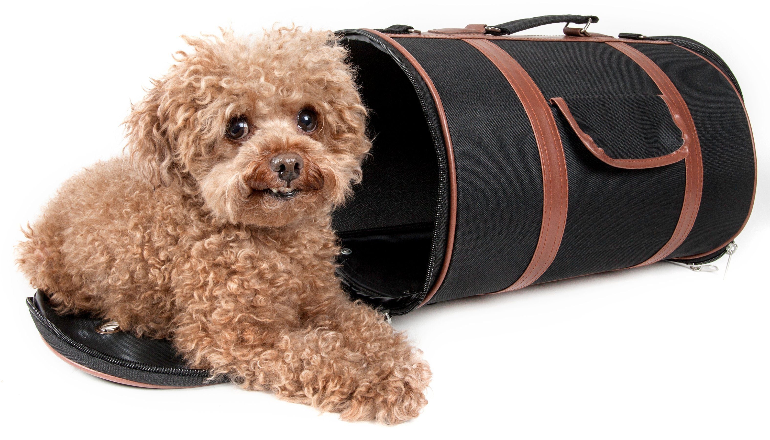 Pet Life ® 'Bark Avenue' Cylindrical Airline Approved Fashion Designer Posh Pet Dog Carrier