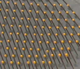 Toalla y cepillo de microfibra 2 en 1 para el cuidado de mascotas 'Bryer' de Pet Life®