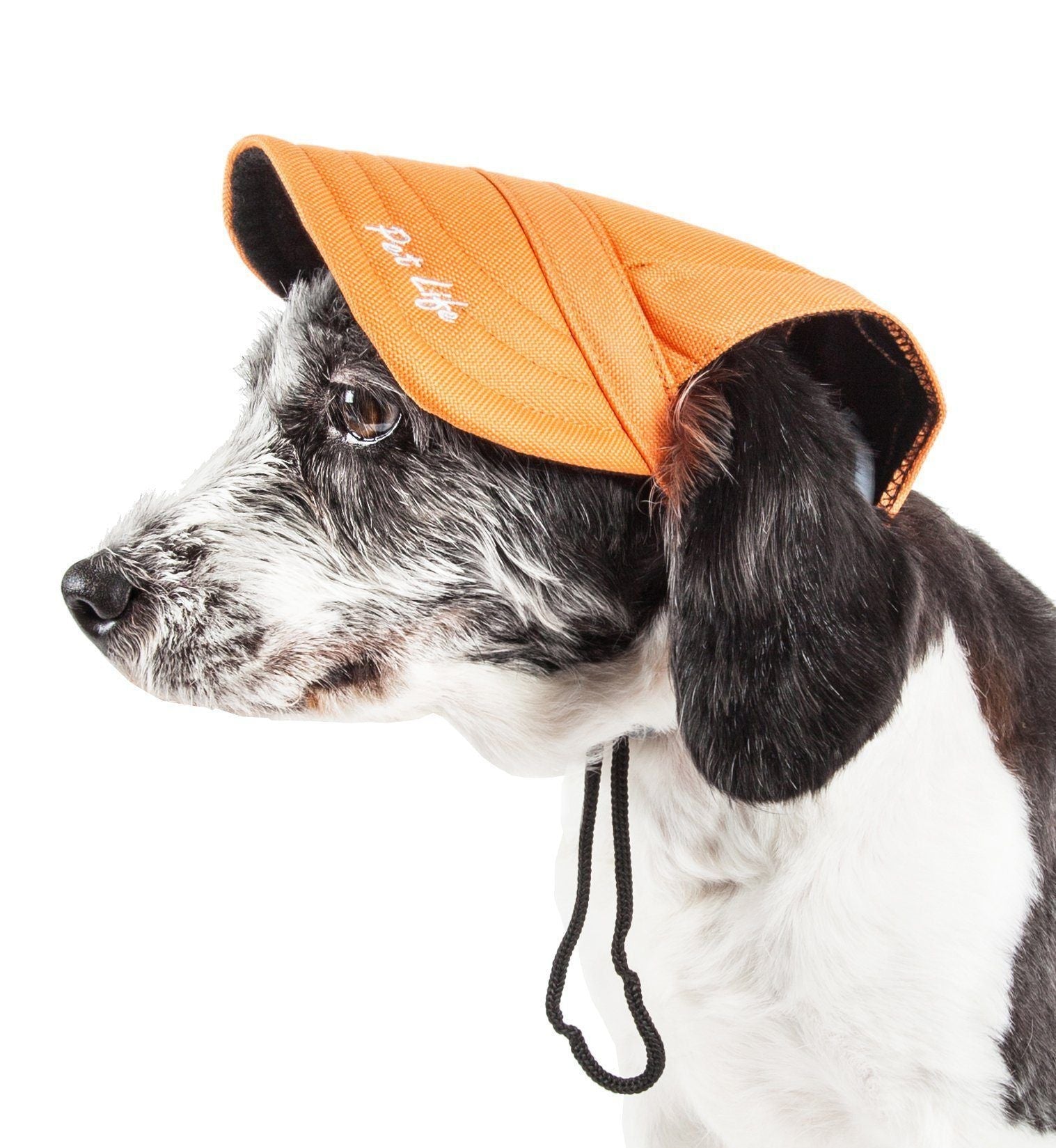 Pet Life ®  'Cap-Tivating' UV Protectant Adjustable Fashion Dog Hat Cap