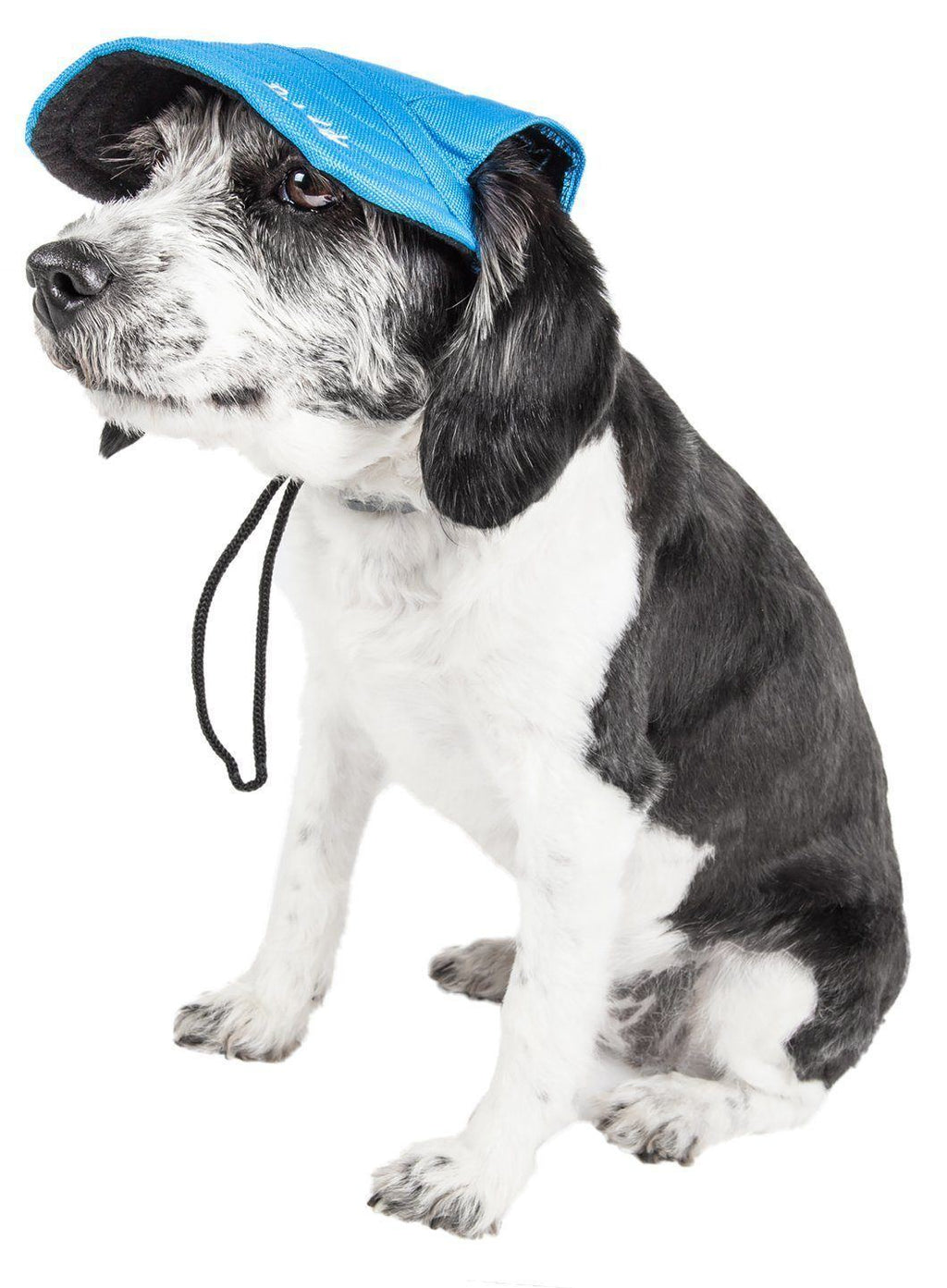 Pet Life ®  'Cap-Tivating' UV Protectant Adjustable Fashion Dog Hat Cap