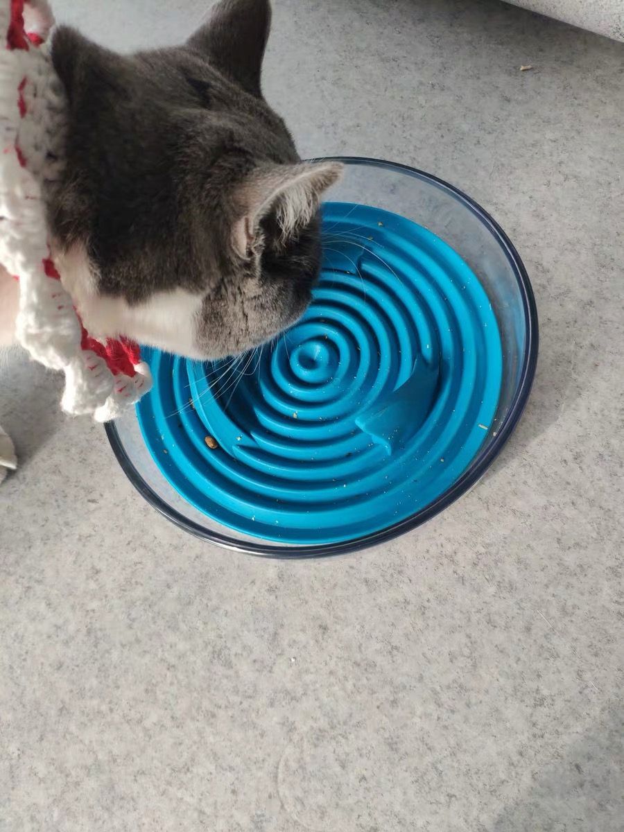 Comedero moderno de alimentación lenta para mascotas con forma de aleta de tiburón 'Cirlicue' de Pet Life ®