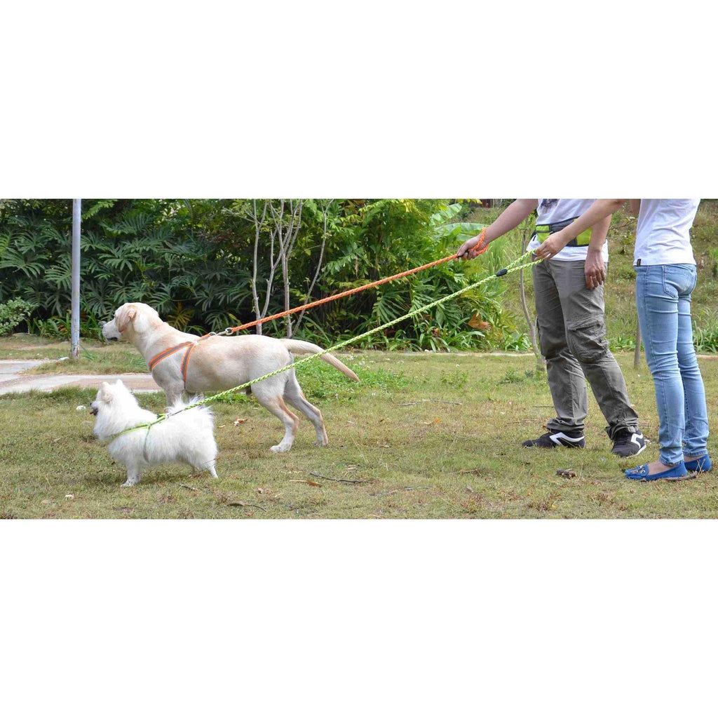 Correa y arnés para perros 2 en 1 ajustables con costuras reflectantes "Easy Tension" de Pet Life ®