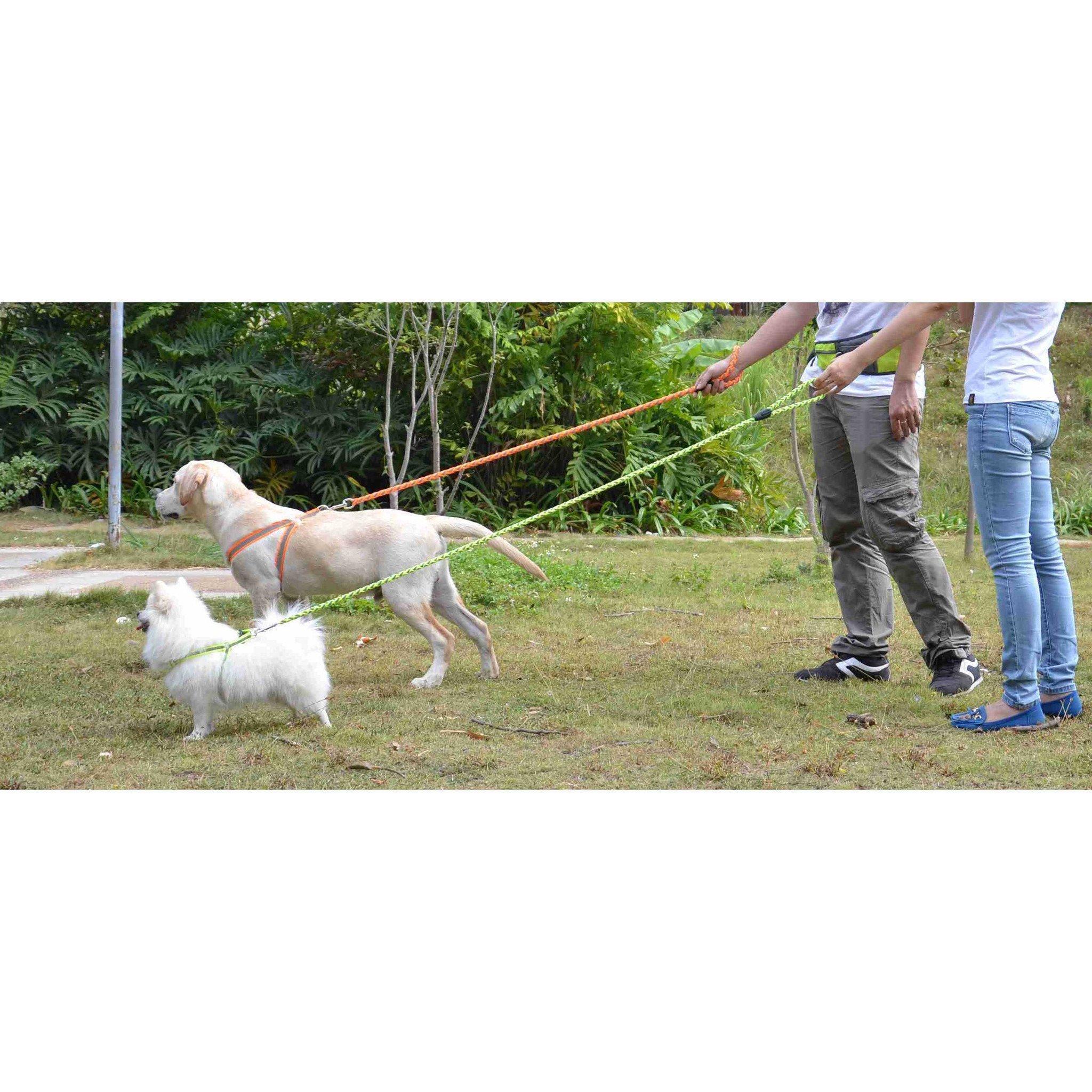 Correa y arnés para perros 2 en 1 ajustables con costuras reflectantes "Easy Tension" de Pet Life ®