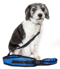 Correa y cinturón de entrenamiento para perros Pet Life ® 'Echelon', manos libres y convertible, 2 en 1