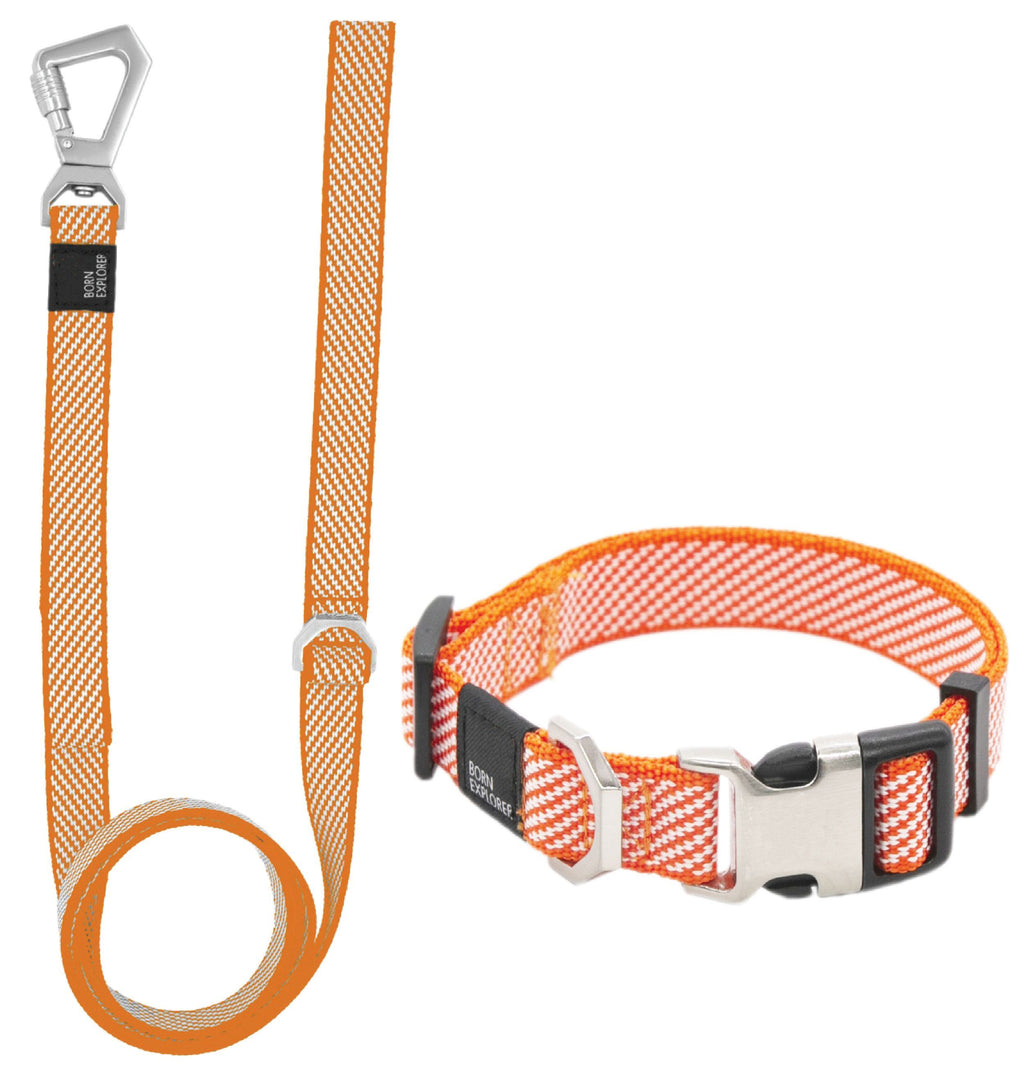 Correa y collar convertibles 2 en 1 para perros Pet Life ® 'Escapade' Outdoor Series