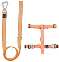 Correa y arnés convertibles 2 en 1 para perros Pet Life ® 'Escapade' Outdoor Series