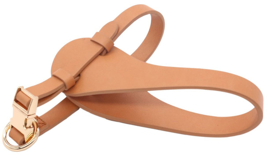 Arnés de cuero ajustable para perros de diseño de la serie boutique 'Ever-Craft' de Pet Life ®