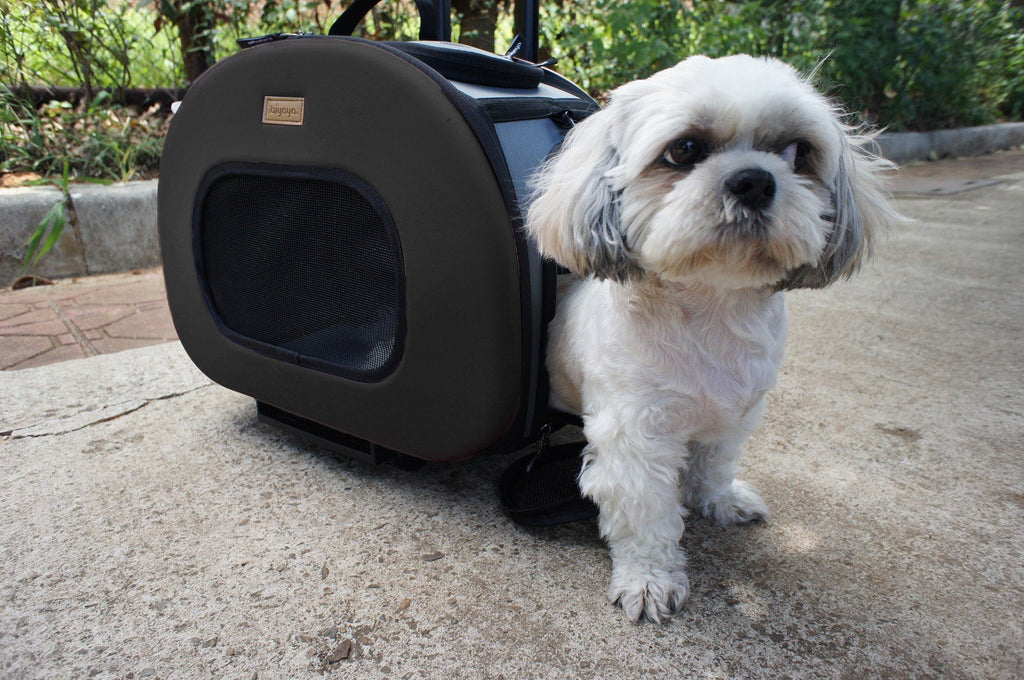 Pet Life ® 'Final Destination' Airline Approved 2-in-1 Tough-Shell Wheeled Collapsible Travel Fashion Pet Dog Carrier Crate