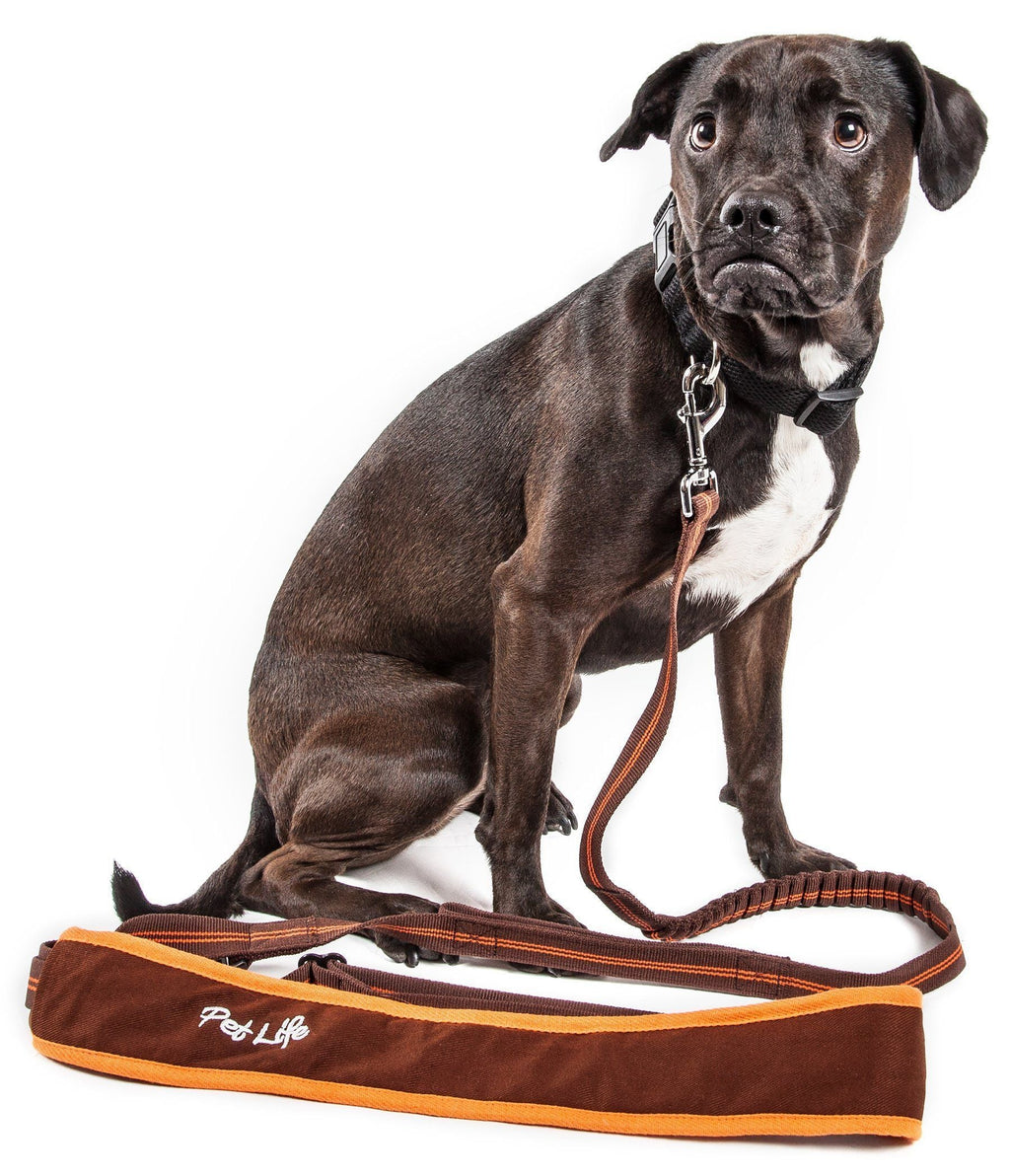 Correa para perros Pet Life ® 'Free-Fetcher' con absorción de impactos y manos libres para llevar sobre el hombro