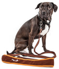 Correa para perros Pet Life ® 'Free-Fetcher' con absorción de impactos y manos libres para llevar sobre el hombro