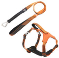 Correa y arnés reflectantes para perros Pet Life ® 'Geo-prene' 2 en 1 con acolchado de neopreno y amortiguación