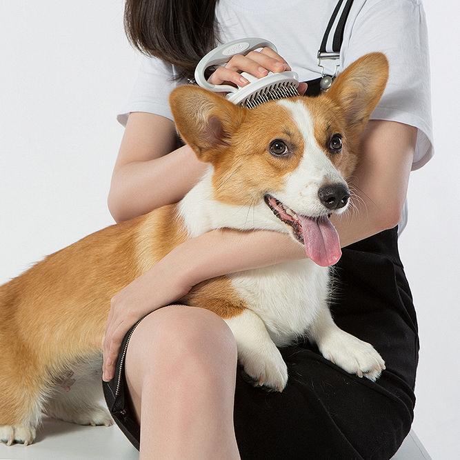 Cepillo de viaje giratorio para mascotas Pet Life ® 'Gyrater'