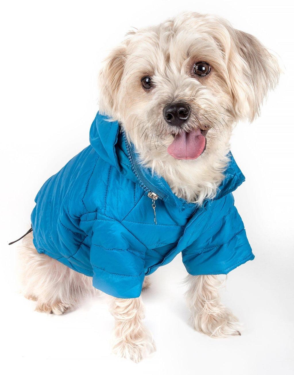 Pet Life ® Lightweight Adjustable and Collapsible 'Sporty Avalanche' Dog Coat w/ Pop-out Zippered Hood