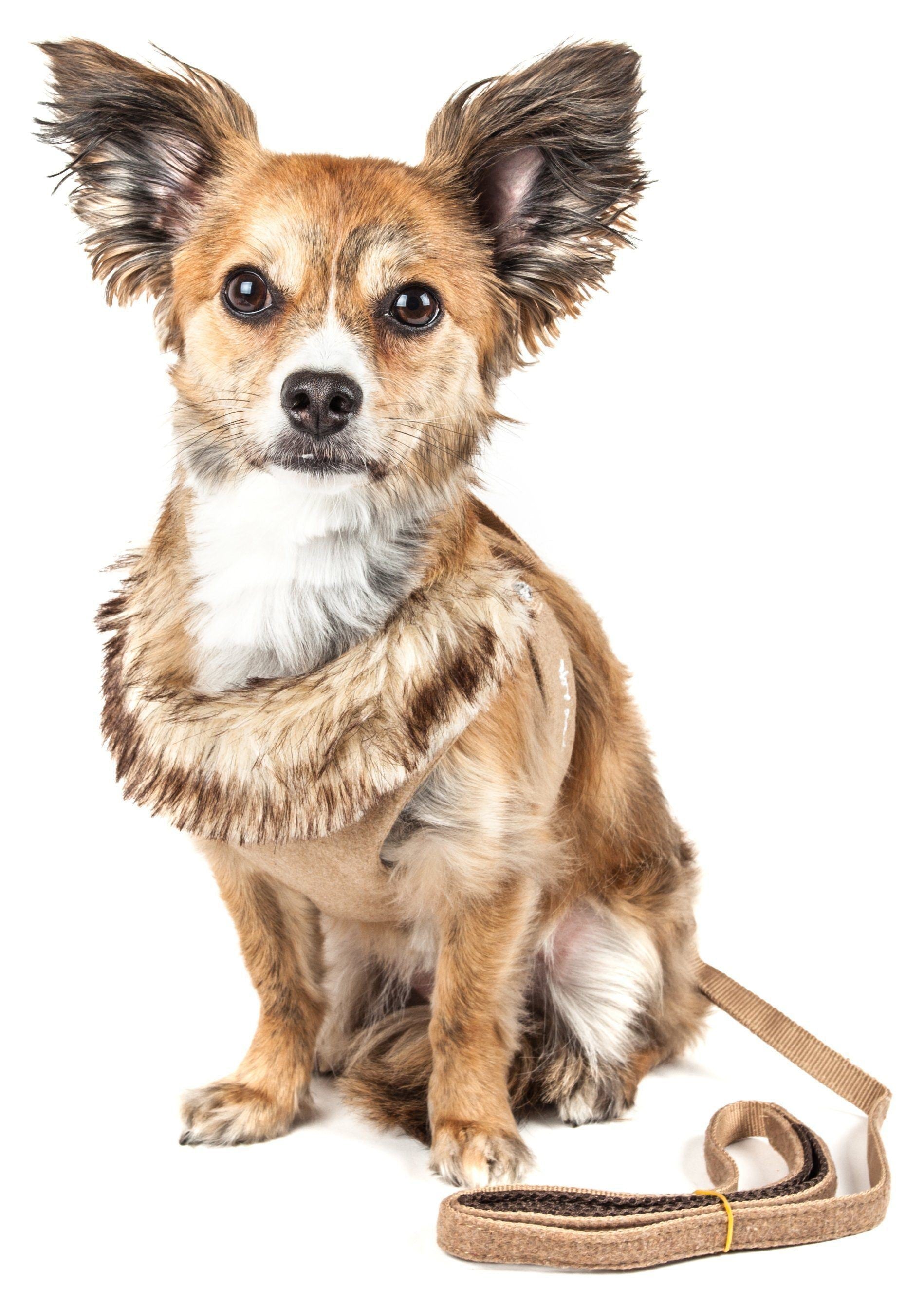 Pet Life ® Luxe 'Furracious' 2-In-1 Adjustable Dog Harness and Leash with Detachable Fur Collar