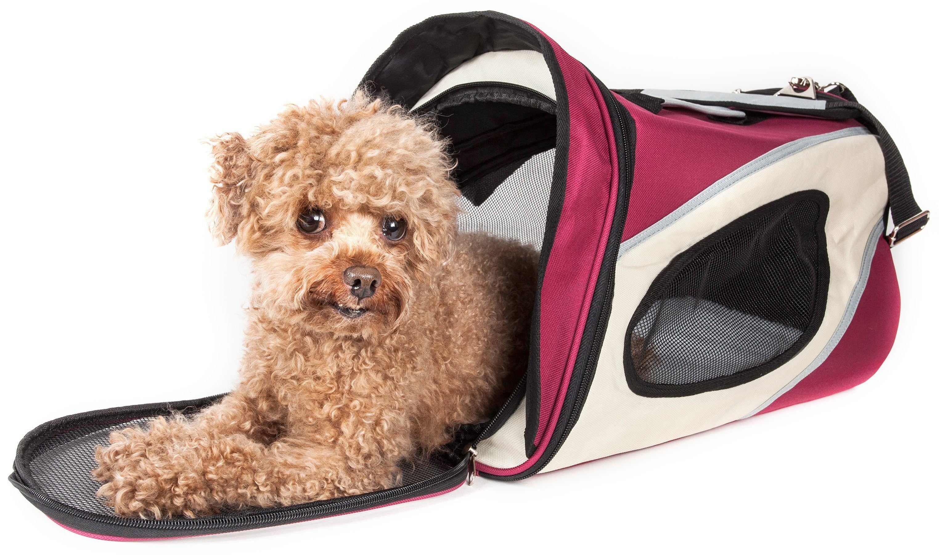 Pet Life ® 'Phenom-Air' Airline Approved Collapsible Fashion Designer Pet Dog Carrier