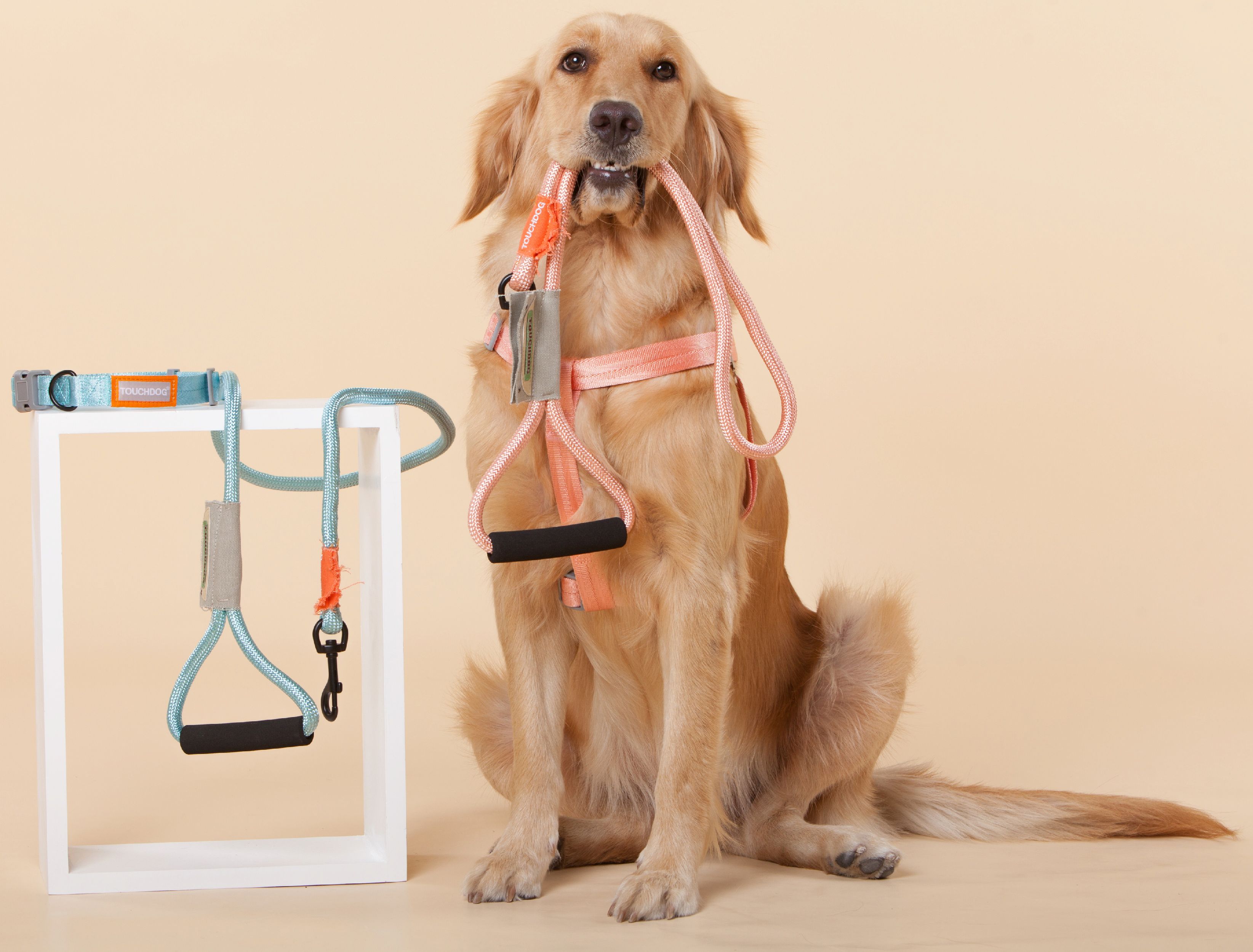 Arnés y correa de nailon duradero Touchdog ® 'Macaron' 2 en 1 para perros