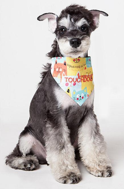 Bandana para perros con velcro y estampado de diseño de moda Touchdog® 'Head-Popper'