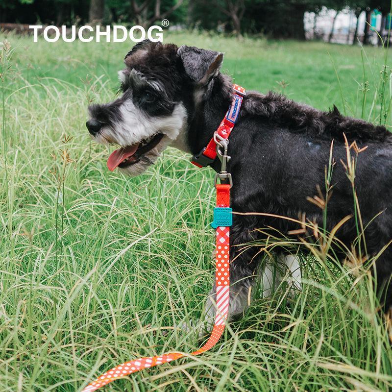 Correa y collar para perro Touchdog ® 'Trendzy' 2 en 1 con estampado de diseñador a juego
